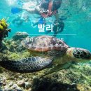 블루라군 | 발리 스노쿨링 포인트 블루라군 투어 후기