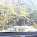 (주)라벤티