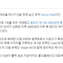 비바VIVA-S 이미지