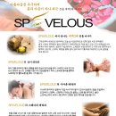 벨루스스파