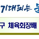 노원구 체육회장배 족구대회(초청 일반2부, 초청 50대 2부 운영) 이미지