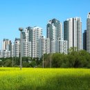 삼성탑개발공인중개사사무소 이미지