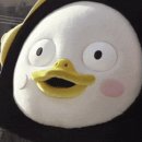 20251110 오늘의 깜짝 게스트는 바로바로 이미지