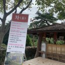 동차선가 이미지