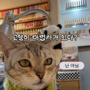 양지-3301 이미지