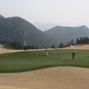 로얄카인테리어 이미지