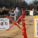 경기양돈 이미지