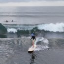 큰 물에서 놀아봐야 진짜 나를 만난다 | 드디어 쓰는 "발리 서핑캠프 발루세" 재재재재재재재방문 후기❤️