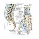 박철정형외과의원 이미지
