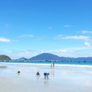 빼빼PC | 나짱을둘러싼모험D2. 드디어 아미아나