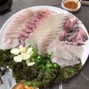 푸른용궁회 이미지