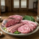 알아이(RI) 종합온천 | 🌼 2026 구례 산수유 꽃축제 실시간 개화 현황부터 주차, 명당 코스까지 완벽 가이드!