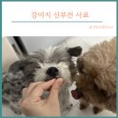 닥터힐스 | 강아지 신부전 사료 닥터 힐메딕스 레날 후기