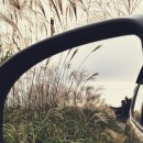 제주의사계 이미지