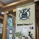 다나동물병원 | [내돈내산] 사당 다나 동물병원 방문 강아지 반려동물 백내장 검진 후기