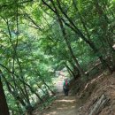 타피오빈