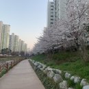 봉자비어 이미지