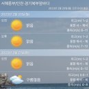 2023년 2월 20일(월) 백령,연평항로 운항통제 이미지