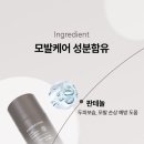 올데이라인