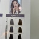 대전 둔산동 미용실 초아르헤어 염색잘하는곳 후기올려요