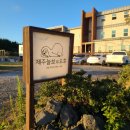 제주늘보의오후 이미지