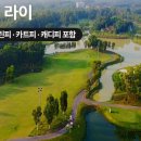 라이골프예약