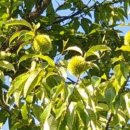 박재호 행정사 사무소 이미지