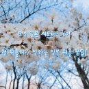 [모인 서포터즈] 예비 워홀러가 보면 좋은 일본 워홀 꿀팁!