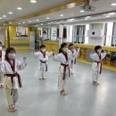 다온 태권도 이미지