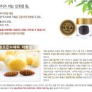 참조은식품 네이버블로그