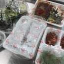 귀족족발보쌈 | [서울/광진/화양] 건대 귀한족발 귀족 🦪굴보쌈🐷 배달후기 제철굴 내돈내산