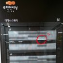 E-0121 | 김포 구래동 네일맛집 네 일상 방문 후기