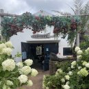 순양농장 | 제주 어린왕자감귤밭 : 동물 먹이주기 농장 체험 이색 카페 후기