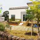 제주배또롱 이미지