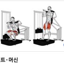 황금돈가 이미지