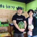 청춘야채과일