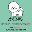 감성그루밍 이미지