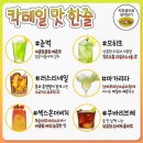 칵테일 이미지