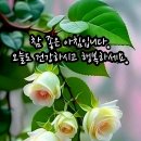 무정하다~ 이미지