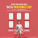 디그리 - 25605 | 디그리