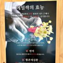 본밀면