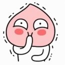 사자카 이미지