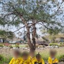 꽃잎어린이집 이미지