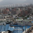 나무전거리 이미지