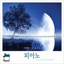 카레앤돈