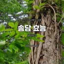 송담2로 이미지