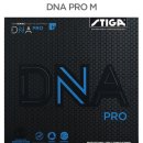 스티가 DNA PRO M, S 구합니다. 이미지