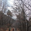 해오름길 티스토리