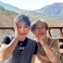 밀양아리랑펜션 | 밀양 여행 코스, 가볼 만한 곳 추천! (아리랑 시장 단골집/영남루/표충사 후기)