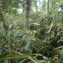 원전초등학교 이미지